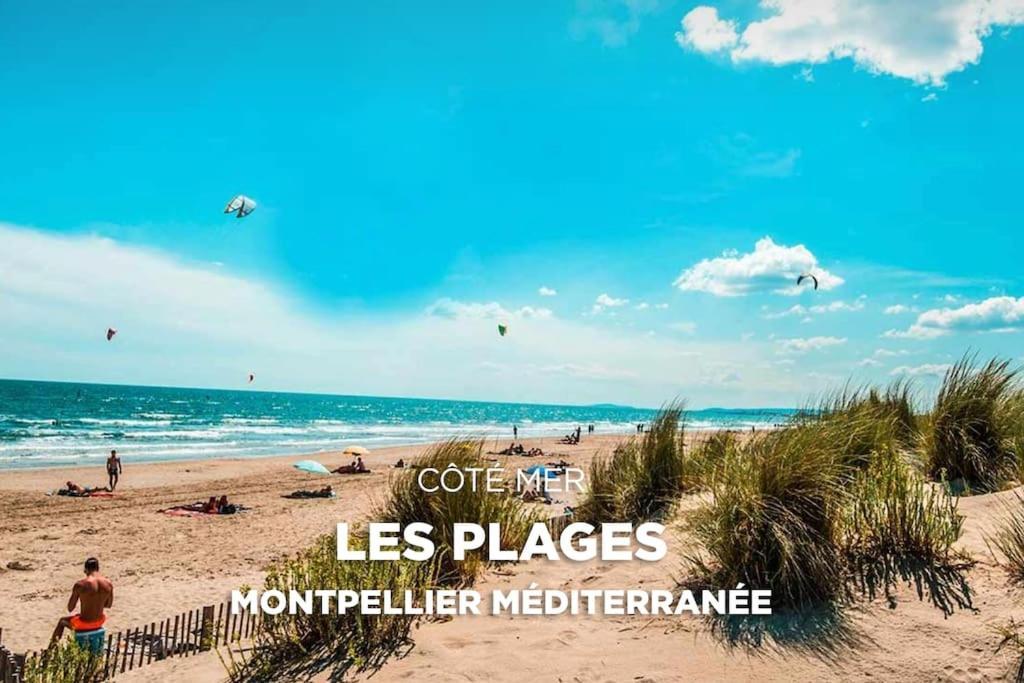 Apartment Between City Center And Beachs Montpellier Exterior photo